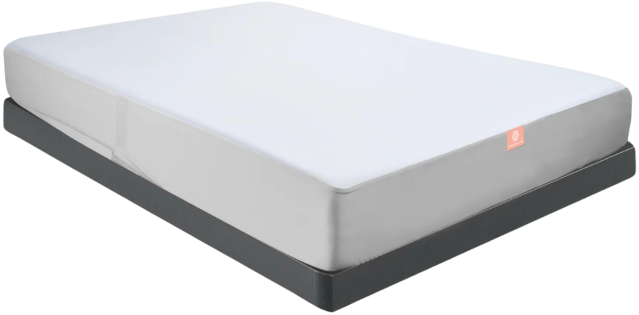 DreamComfort Encasement Mattress Protector