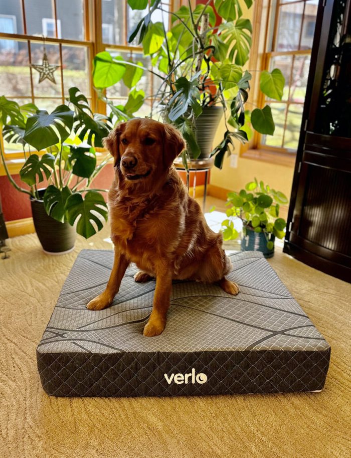 v9 Pet Bed