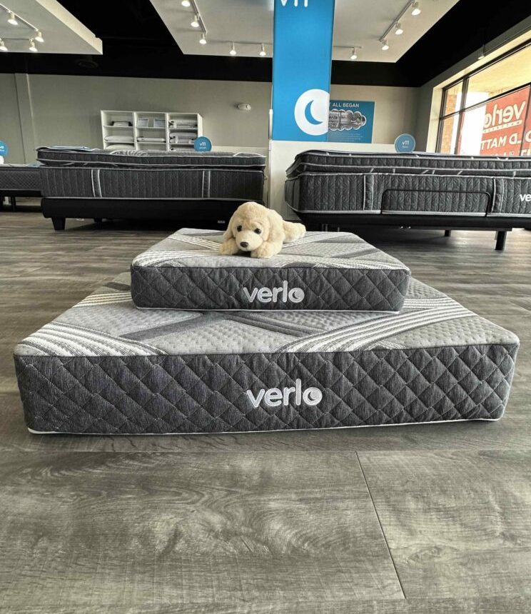 v7 Pet Bed