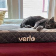 v7 Pet Bed