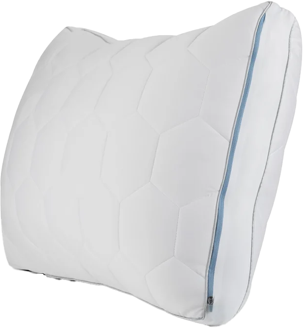 sheex-elevated-performance-side-sleeper (2) sheex-elevated-performance-side-sleeper (1) sheex-elevated-performance-side-sleeper (2) sheex-elevated-performance-side-sleeper (1) SHEEX Elevated Performance Side Sleeper Pillow sheex-elevated-performance-side-sleeper (2) sheex-elevated-performance-side-sleeper (1) sheex-elevated-performance-side-sleeper (2) sheex-elevated-performance-side-sleeper (1) SHEEX Elevated Performance Side Sleeper Pillow