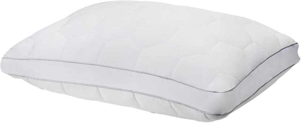 sheex-elevated-performance-side-sleeper (2) sheex-elevated-performance-side-sleeper (1) sheex-elevated-performance-side-sleeper (2) sheex-elevated-performance-side-sleeper (1) SHEEX Elevated Performance Side Sleeper Pillow sheex-elevated-performance-side-sleeper (2) sheex-elevated-performance-side-sleeper (1) sheex-elevated-performance-side-sleeper (2) sheex-elevated-performance-side-sleeper (1) SHEEX Elevated Performance Side Sleeper Pillow