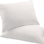 Cozy Earth Bamboo Down