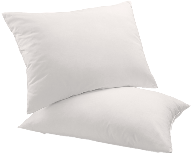 Cozy Earth Bamboo Down Alternative Pillow