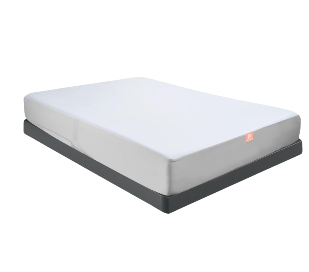 Encasement Mattress Protector Overland Park, KS