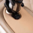 Cozzia Chair CZ-716