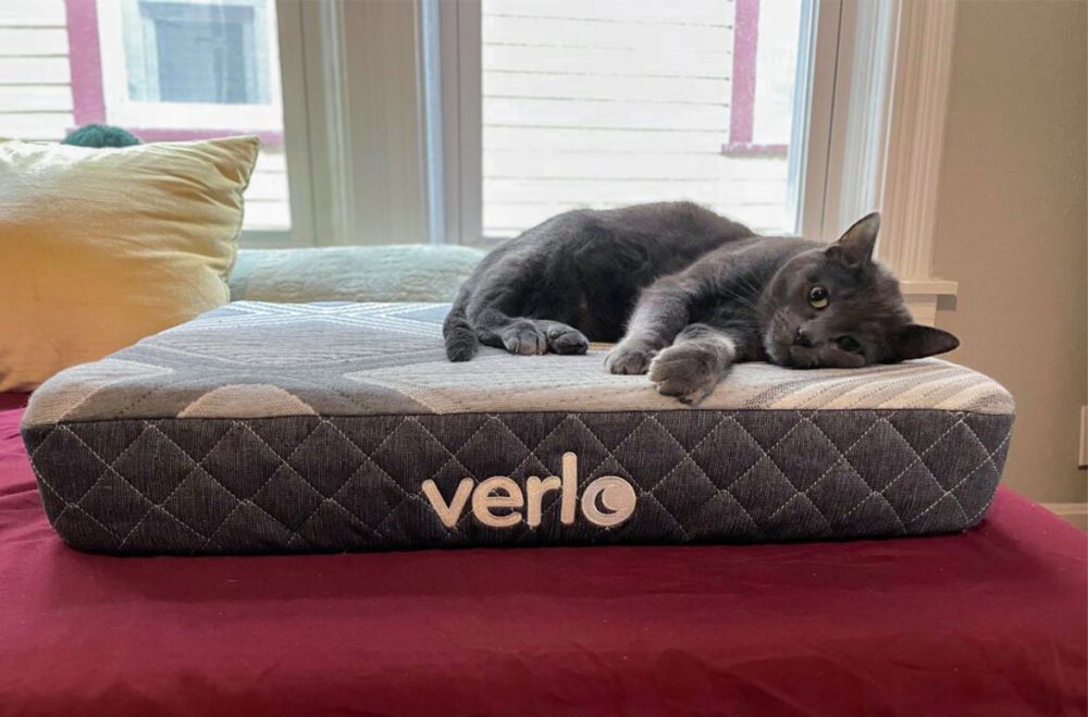 v7 Pet Bed v7 Pet Bed
