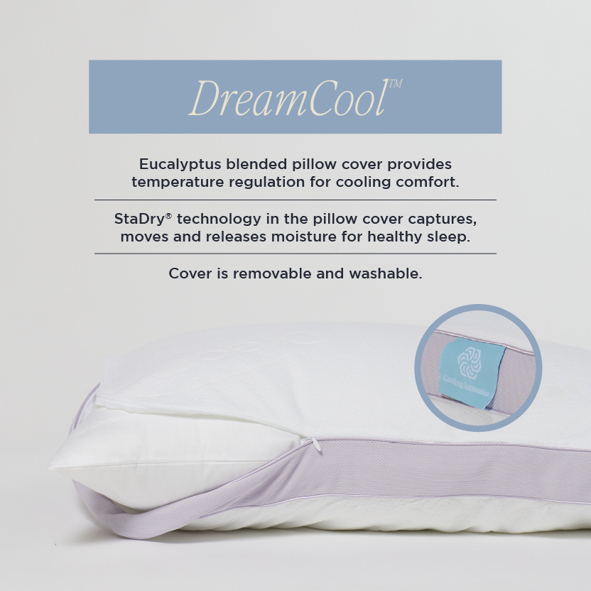 DreamFit Solo Pillow