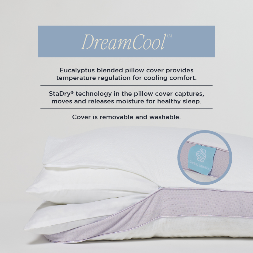 DreamFit Duo Pillow