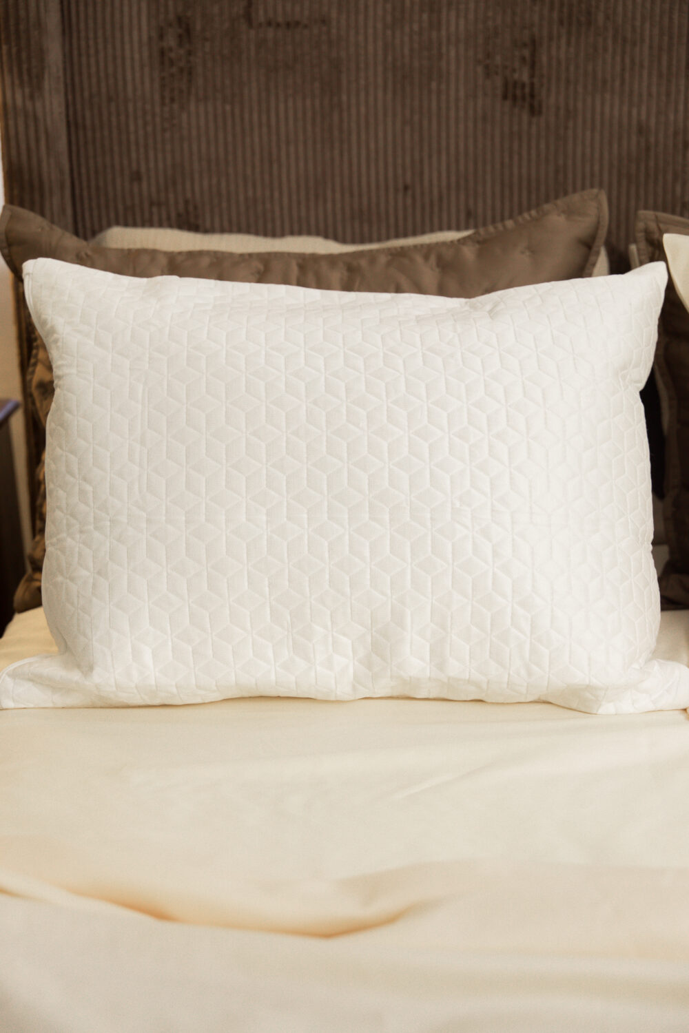 DreamFit Pillow Protector