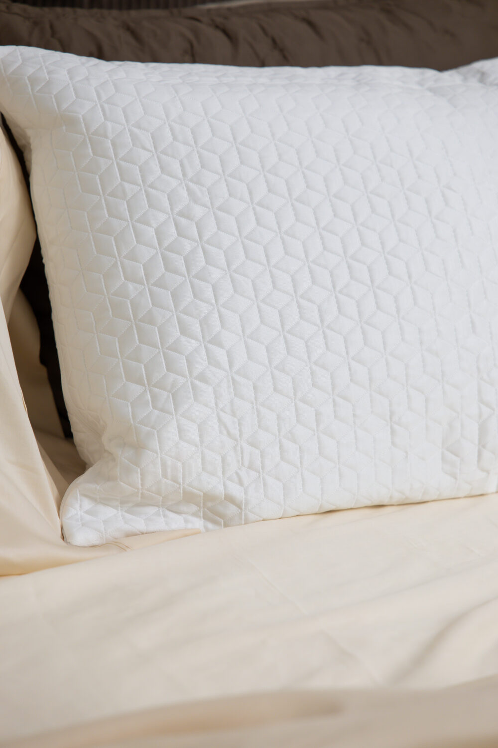DreamFit Pillow Protector DreamFit Pillow Protector