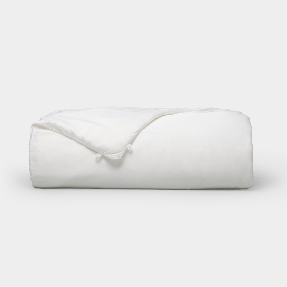 Cozy Earth Silk Comforter Standard Fill