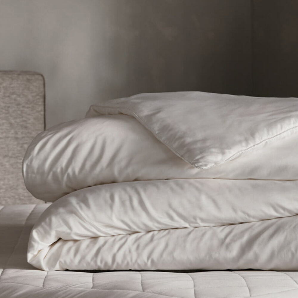 Cozy Earth Silk Comforter Standard Fill Cozy Earth Silk Comforter Standard Fill