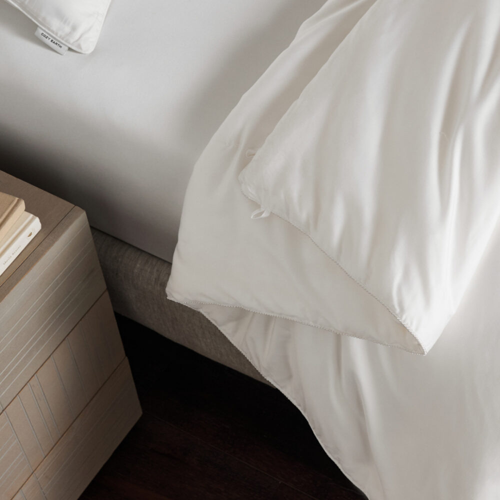 Cozy Earth Silk Comforter Standard Fill Cozy Earth Silk Comforter Standard Fill