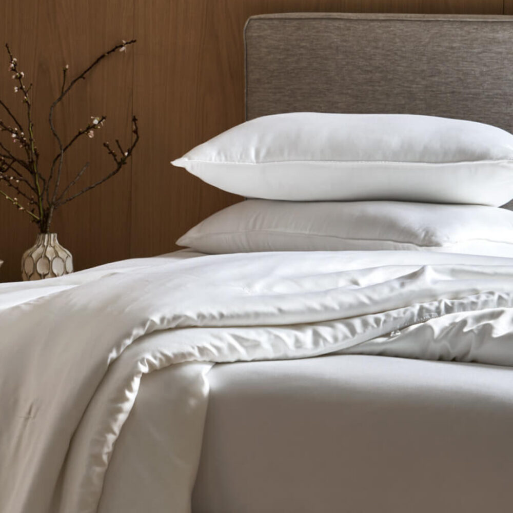 Cozy Earth Silk Comforter Extra Fill Cozy Earth Silk Comforter Extra Fill