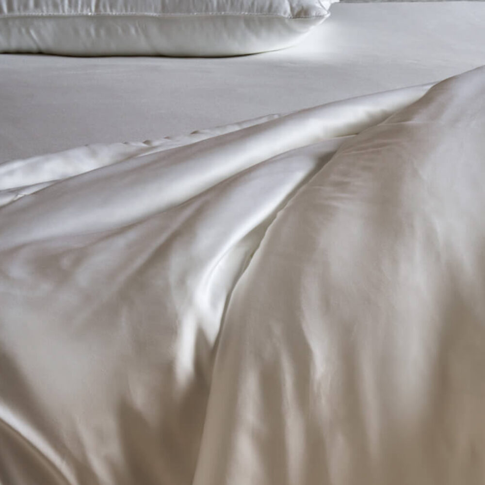 Cozy Earth Silk Comforter Extra Fill Cozy Earth Silk Comforter Extra Fill