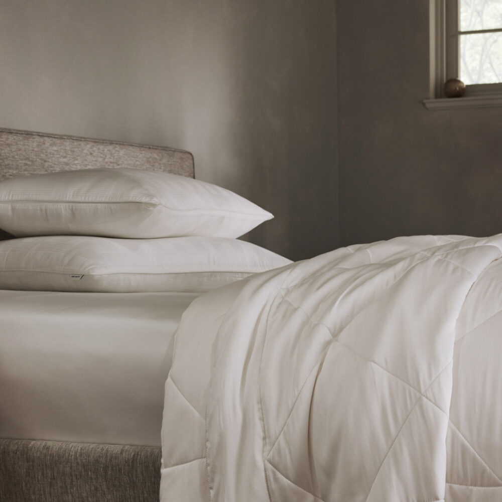 Cozy Earth Bamboo Comforter Extra Fill Cozy Earth Bamboo Comforter Extra Fill