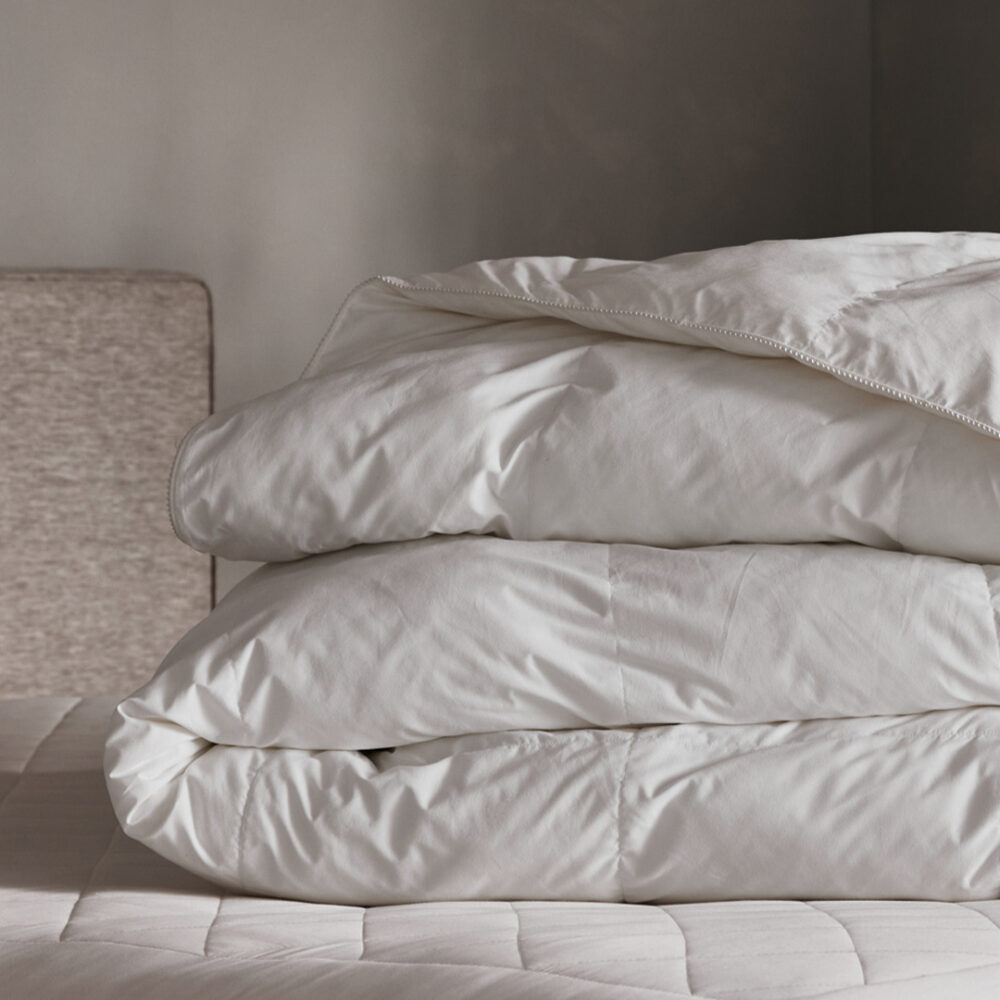 Cozy Earth Down Alternative Comforter Standard Fill Cozy Earth Down Alternative Comforter Standard Fill