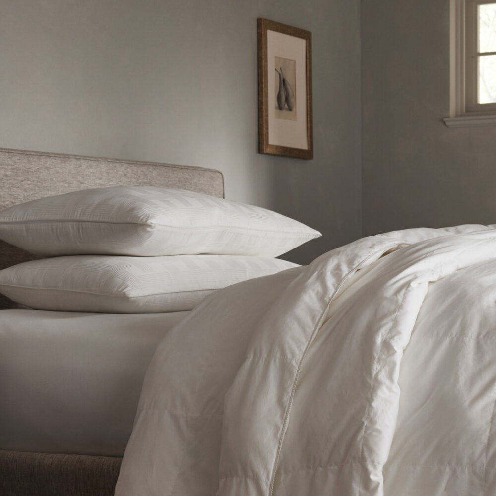 Cozy Earth Down Alternative Comforter Standard Fill Cozy Earth Down Alternative Comforter Standard Fill