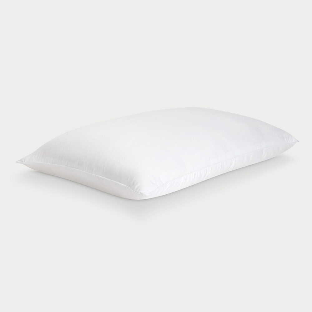 Cozy Earth Silk Pillow