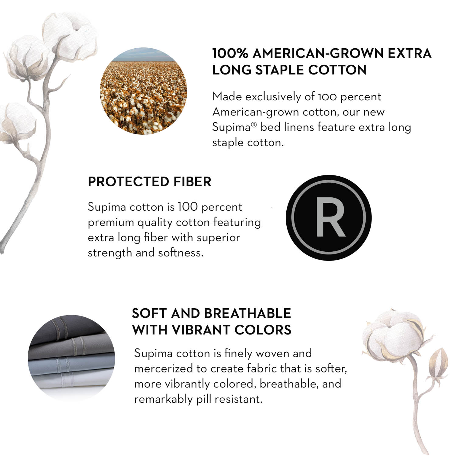 Malouf Natural Supima Cotton Sheet Set Malouf Natural Supima Cotton Sheet Set